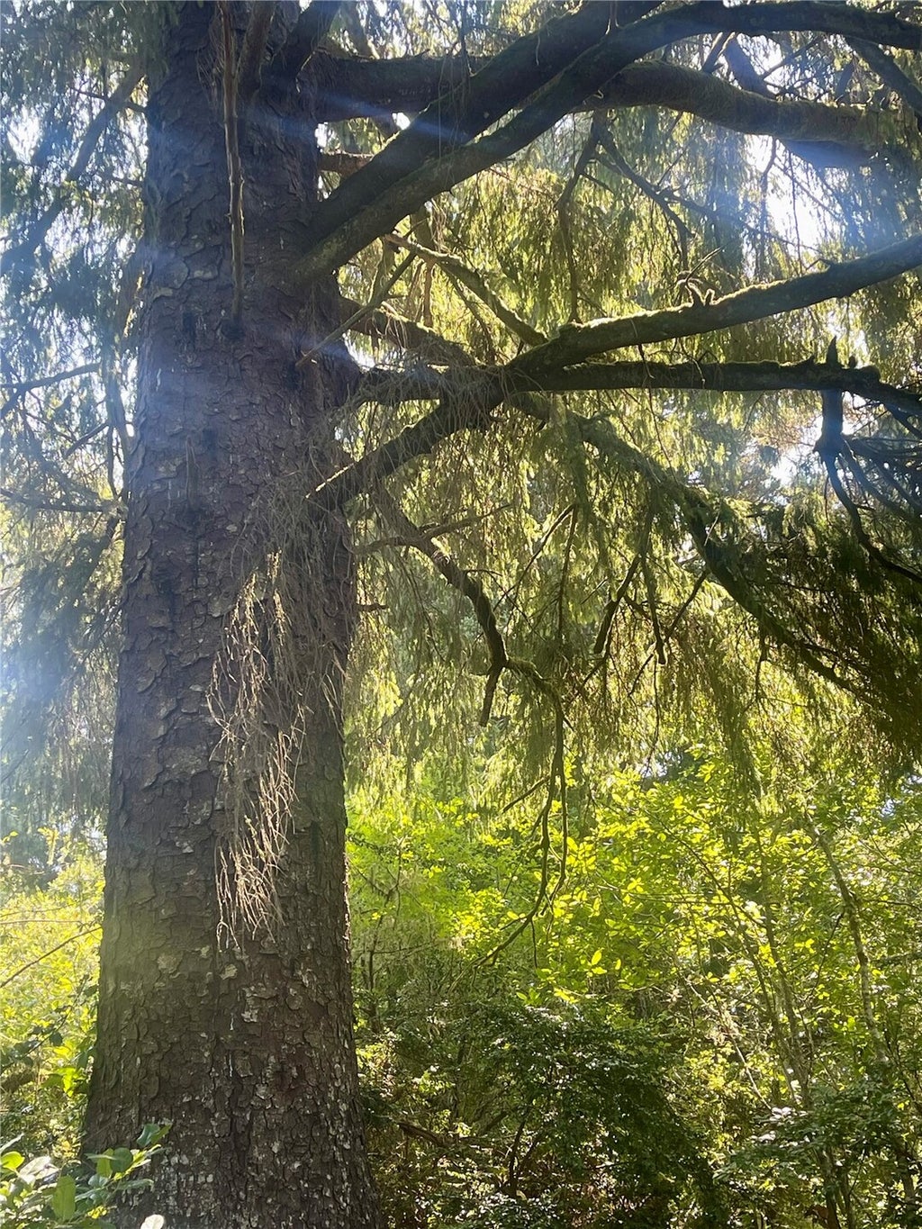 Photo of 272 XX W 272 XX Lane, Ocean Park, WA 98640 (MLS # 2595570)