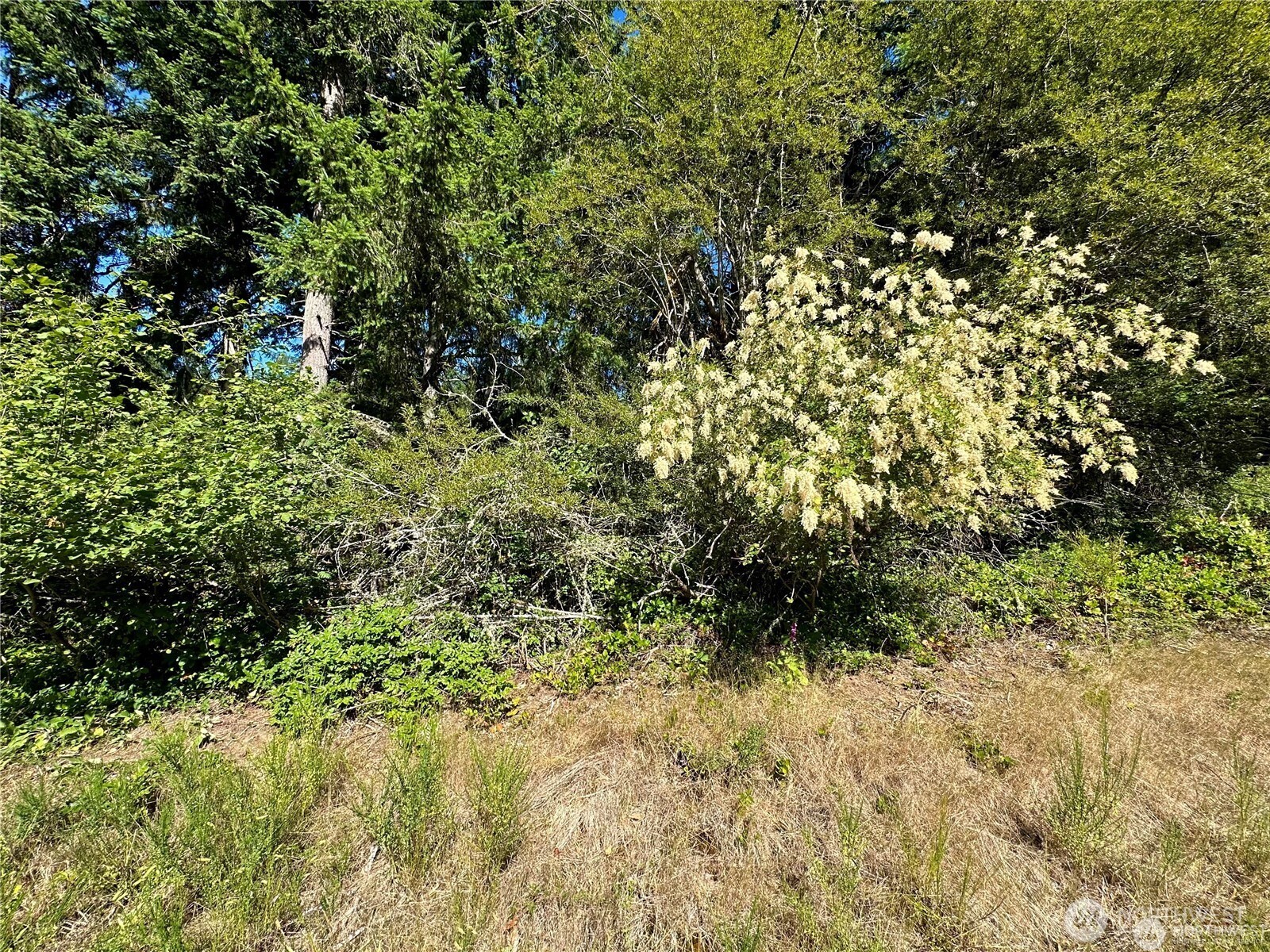 10709 Madrona Drive