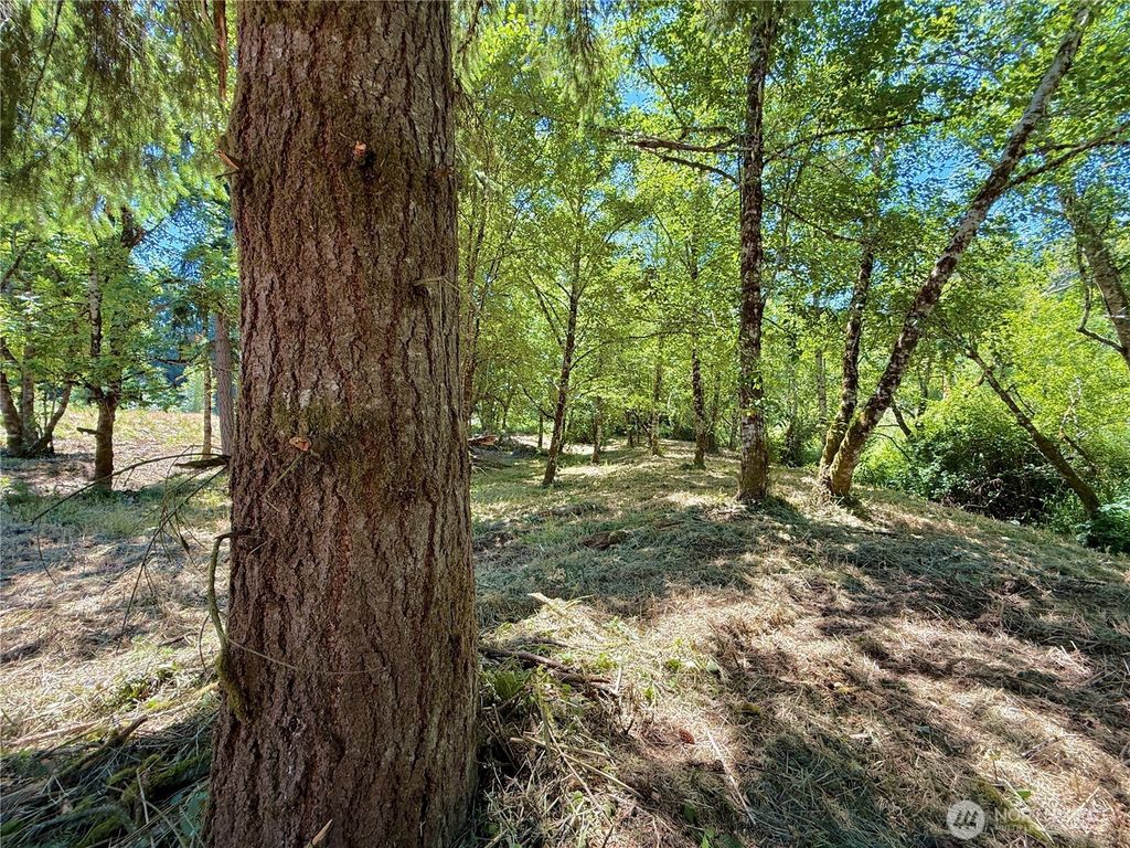 Photo of 127 Sawall #G, Centralia, WA 98531 (MLS # 2505487)