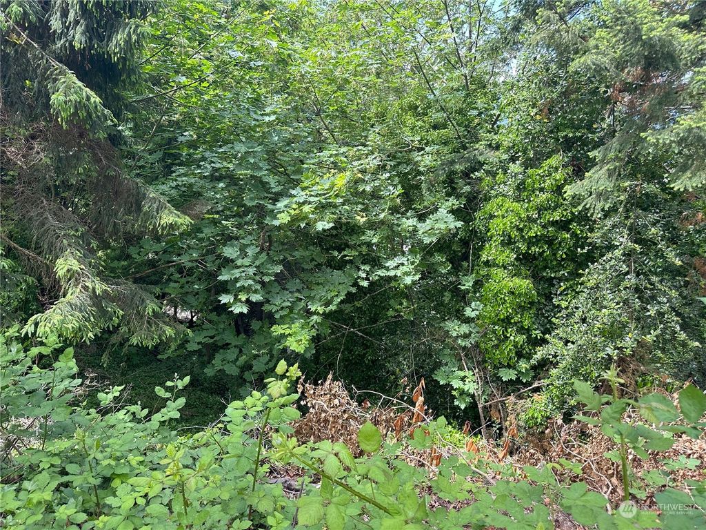 Photo of 0 Marine View Drive S, Des Moines, WA 98198 (MLS # 2244416)