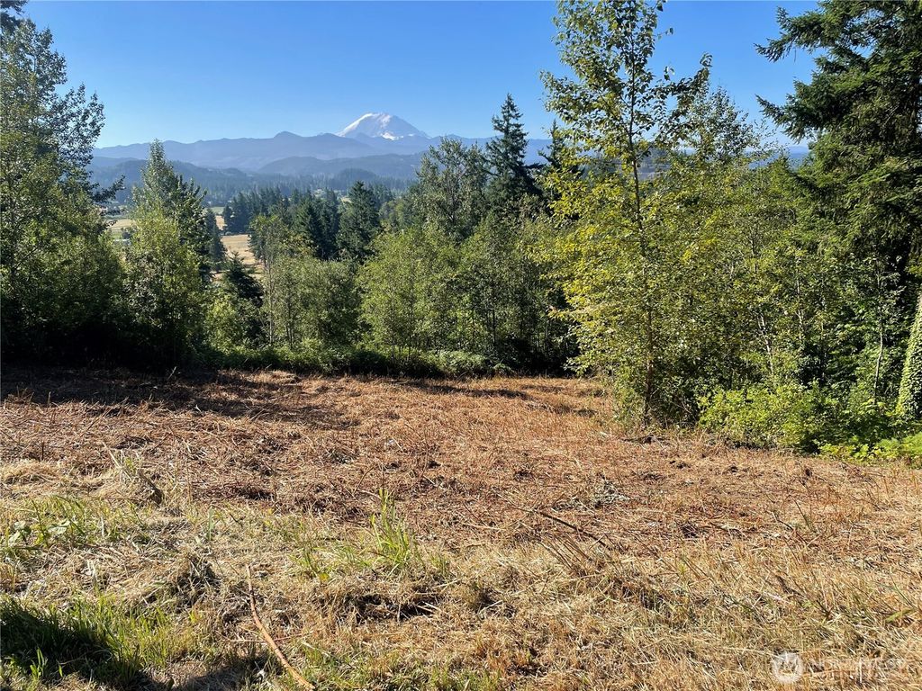 Photo of 27435 SE 402nd Street, Enumclaw, WA 98022 (MLS # 2482945)