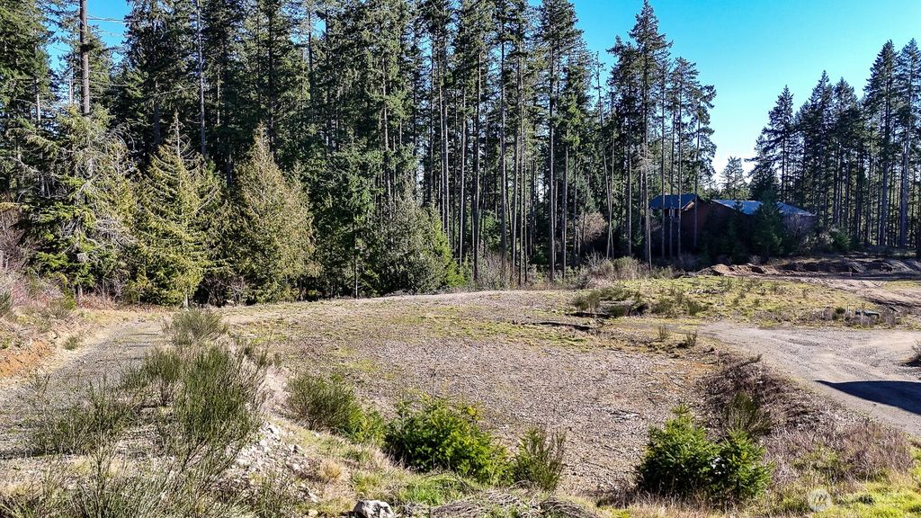 Photo of 223 W B Street, Shelton, WA 98584 (MLS # 2488112)