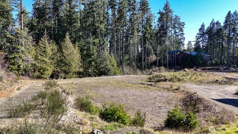 Photo of 223 W B Street, Shelton, WA 98584 (MLS # 2488112)