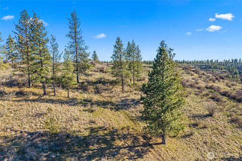 Photo of 27220 Underwood Canyon, Creston, WA 99117 (MLS # 2526456)