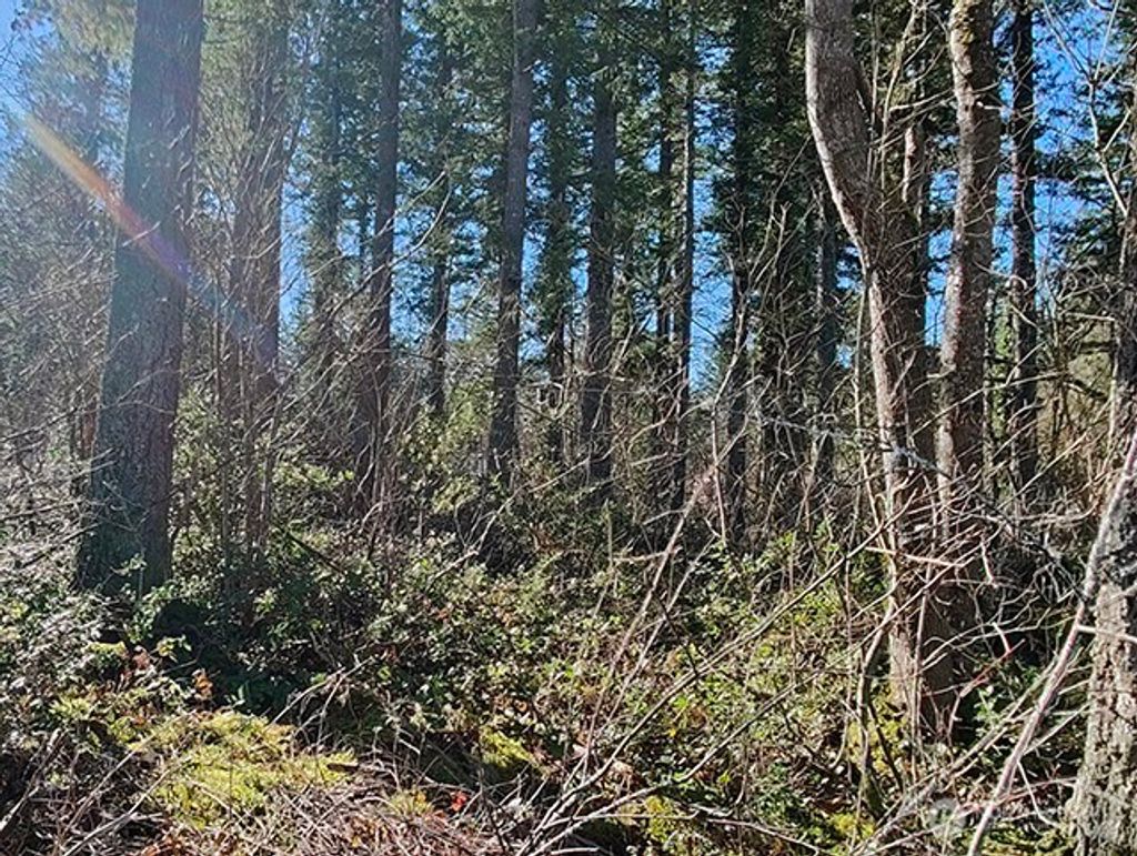 Photo of 355 xx 312th ST Way SE, Enumclaw, WA 98022 (MLS # 2478963)