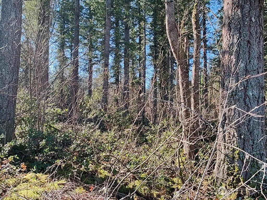 Photo of 355 xx 312th ST Way SE, Enumclaw, WA 98022 (MLS # 2478963)