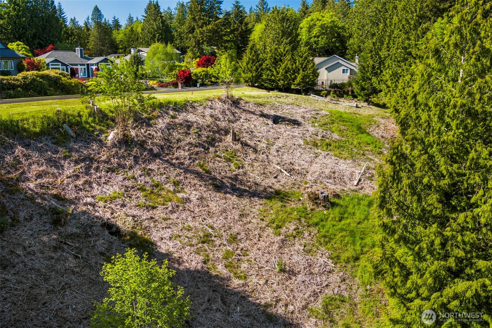 639 Rainier Lane