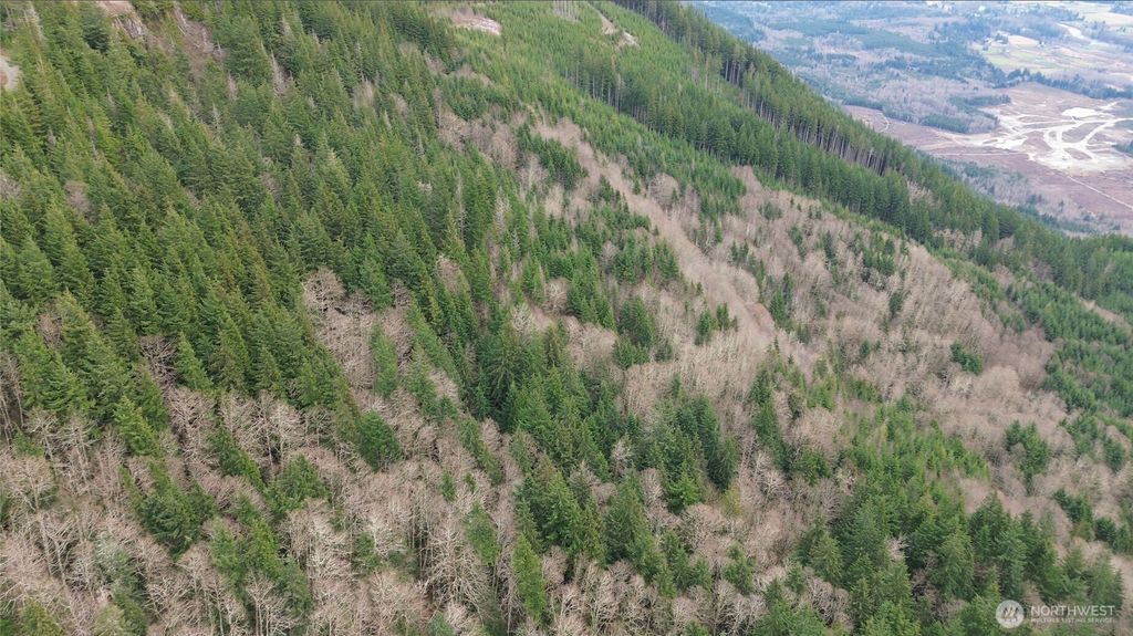 Photo of 18621 SR 530 NE, Sedro Woolley, WA 98223 (MLS # 2479993)