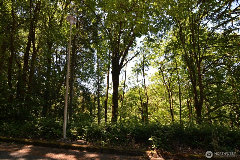 2429 Archwood Drive