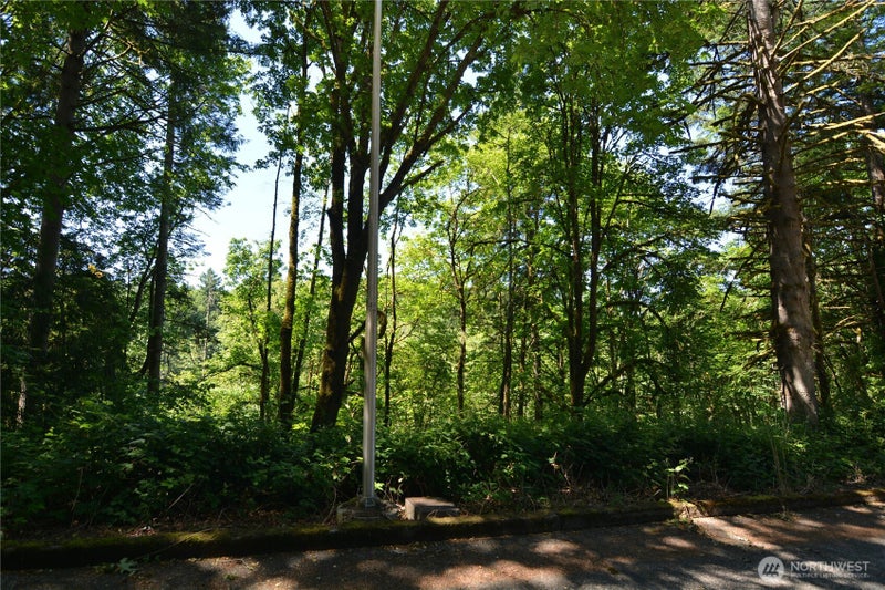 2429 Archwood Drive