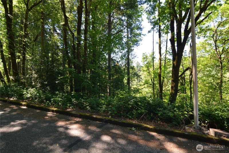 2429 Archwood Drive