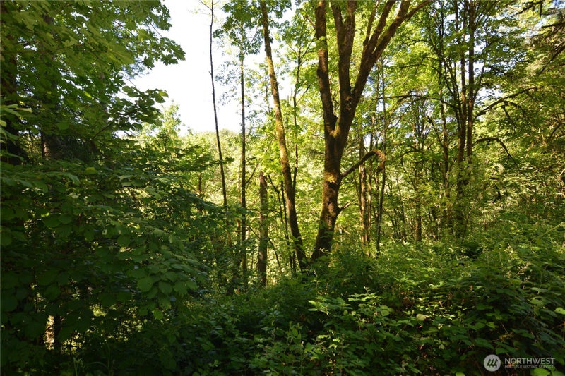 2429 Archwood Drive