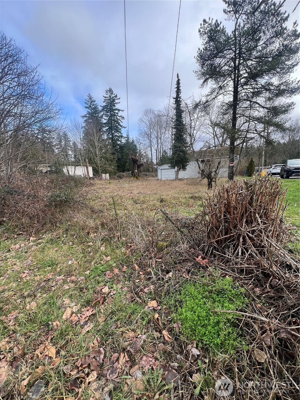 Photo of 17275 SE WAX Road, Covington, WA 98042 (MLS # 2481170)