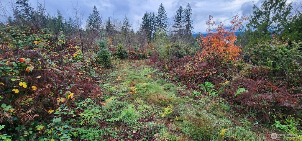 Photo of 0 E Twanoh Heights Road, Belfair, WA 98528 (MLS # 2489797)