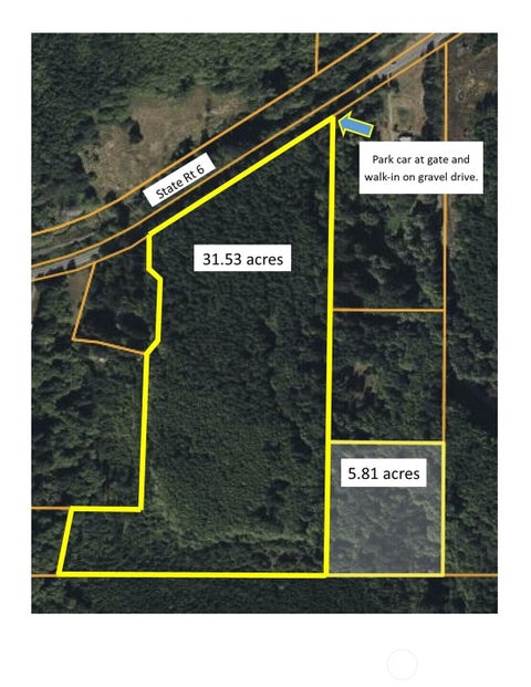 Photo of 7920 State Rt 6, Pe Ell, WA 98572 (MLS # 2581563)