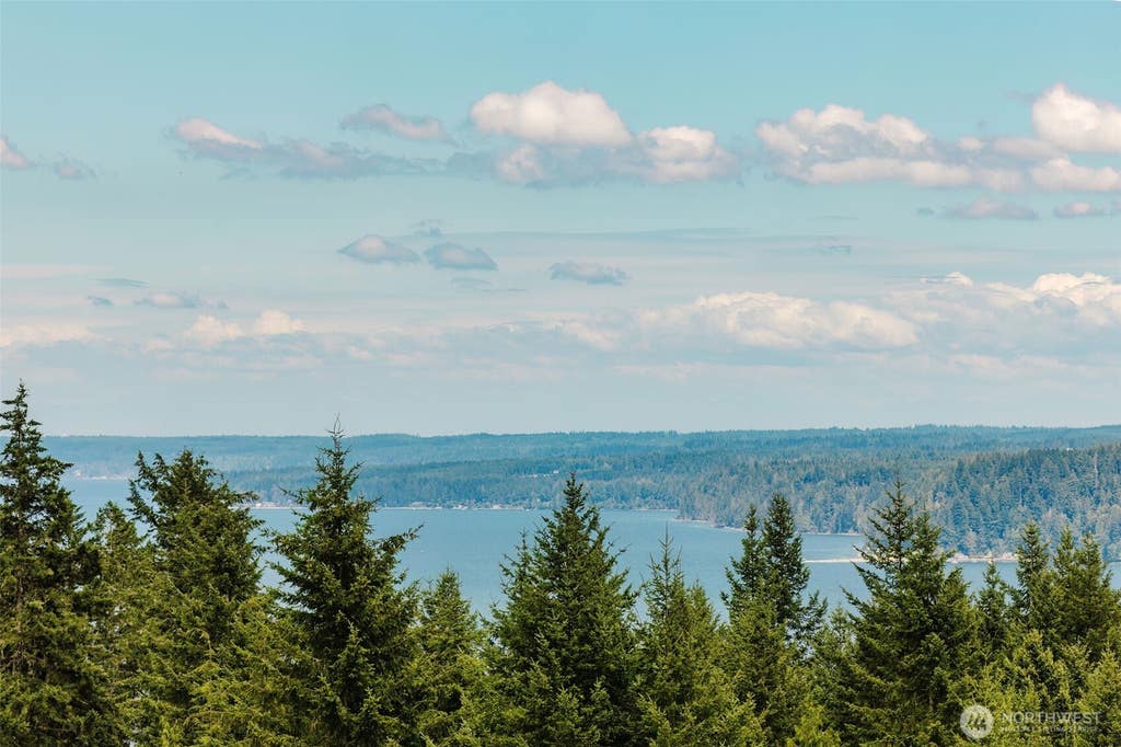 Photo of 700 N Triton Heights Road, Lilliwaup, WA 98555 (MLS # 2553779)