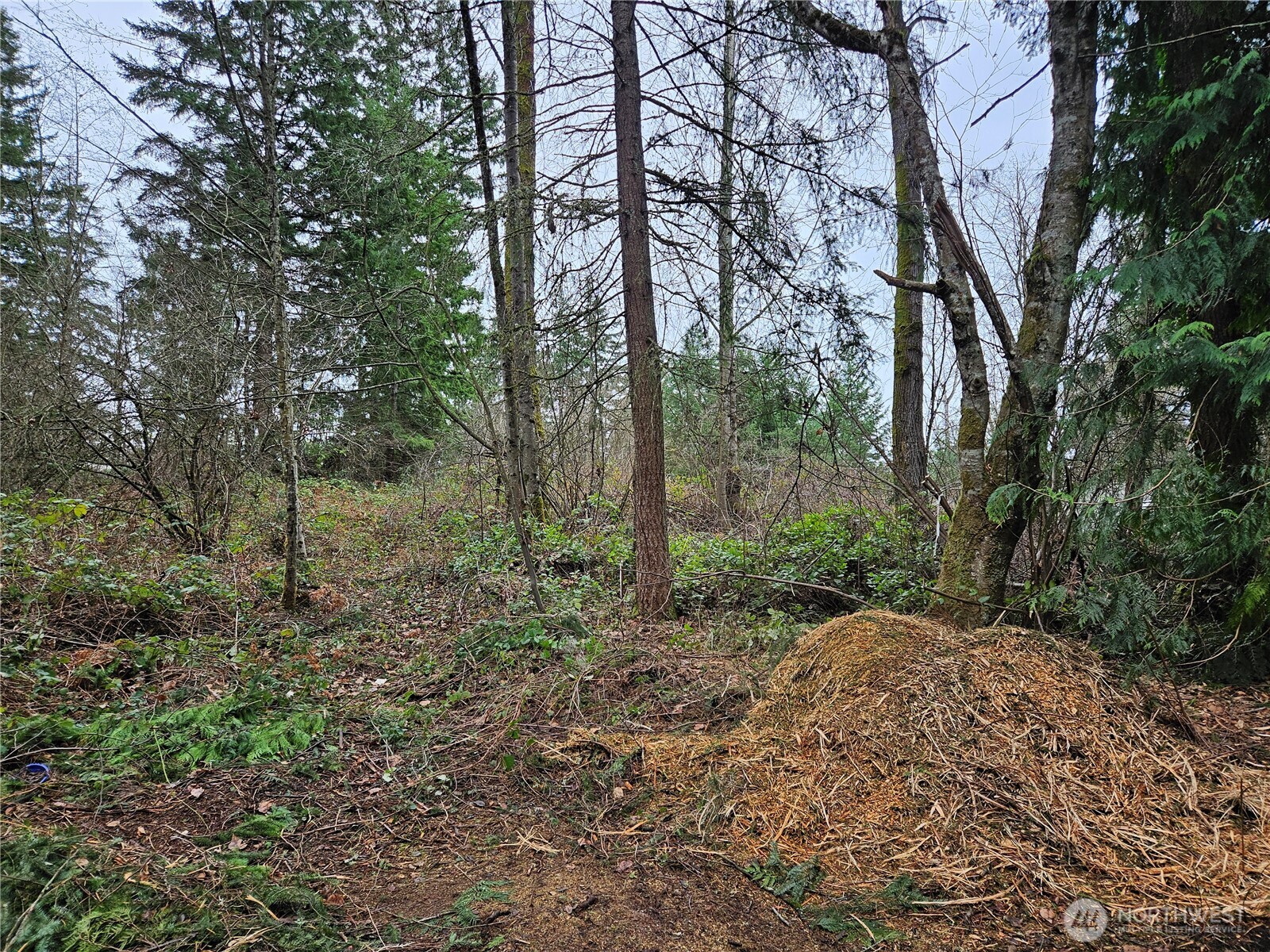 19100 106th Street Ct E