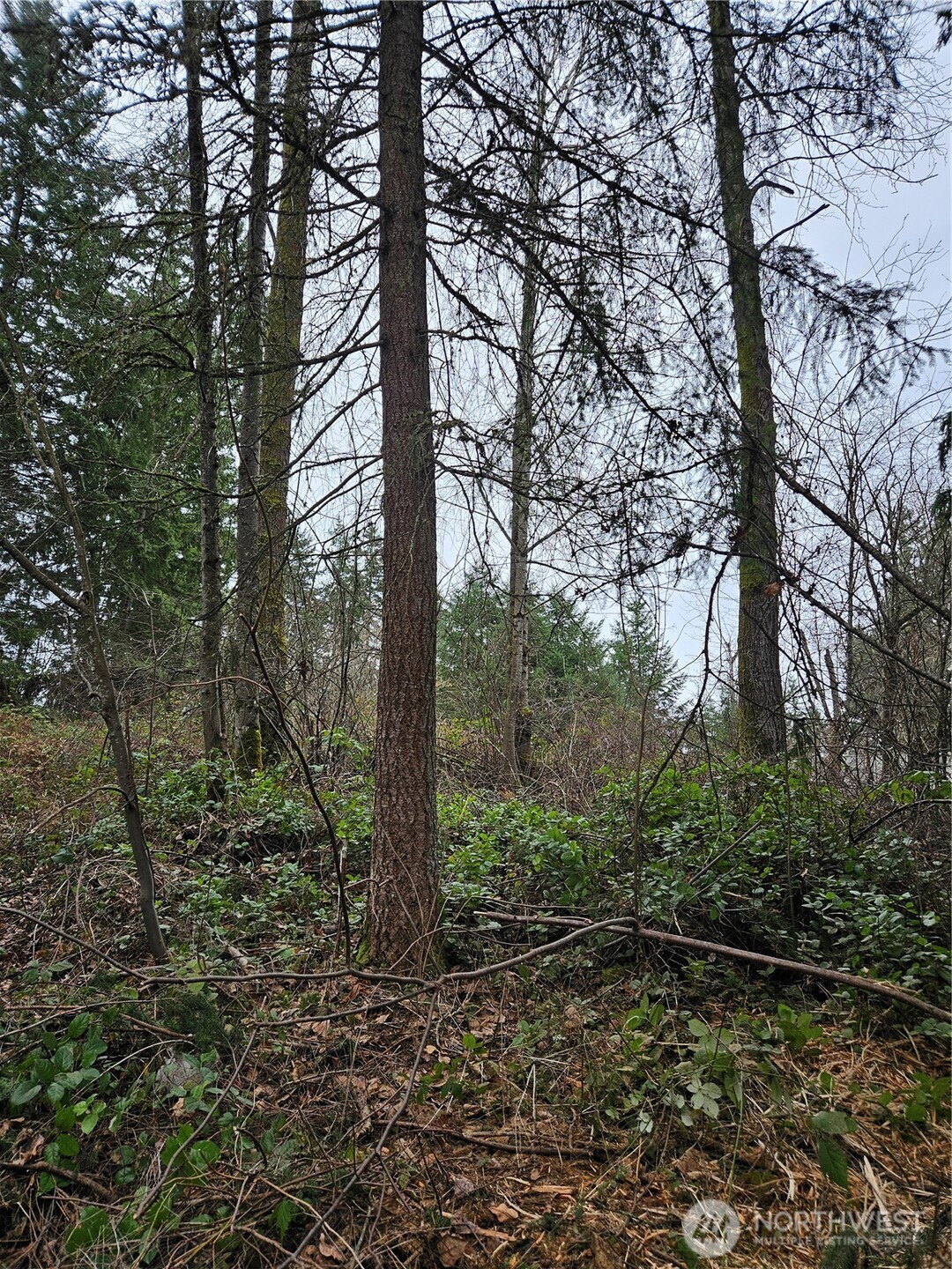 19100 106th Street Ct E