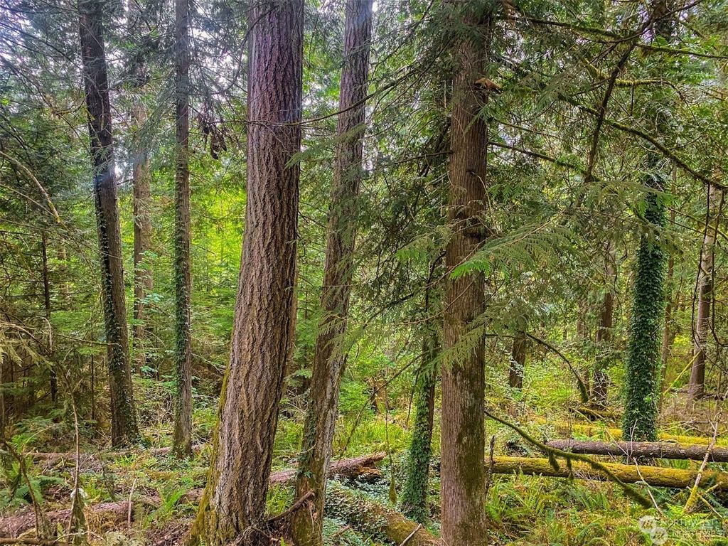 Photo of 43 xx 288th Avenue NE, Redmond, WA 98053 (MLS # 2247065)