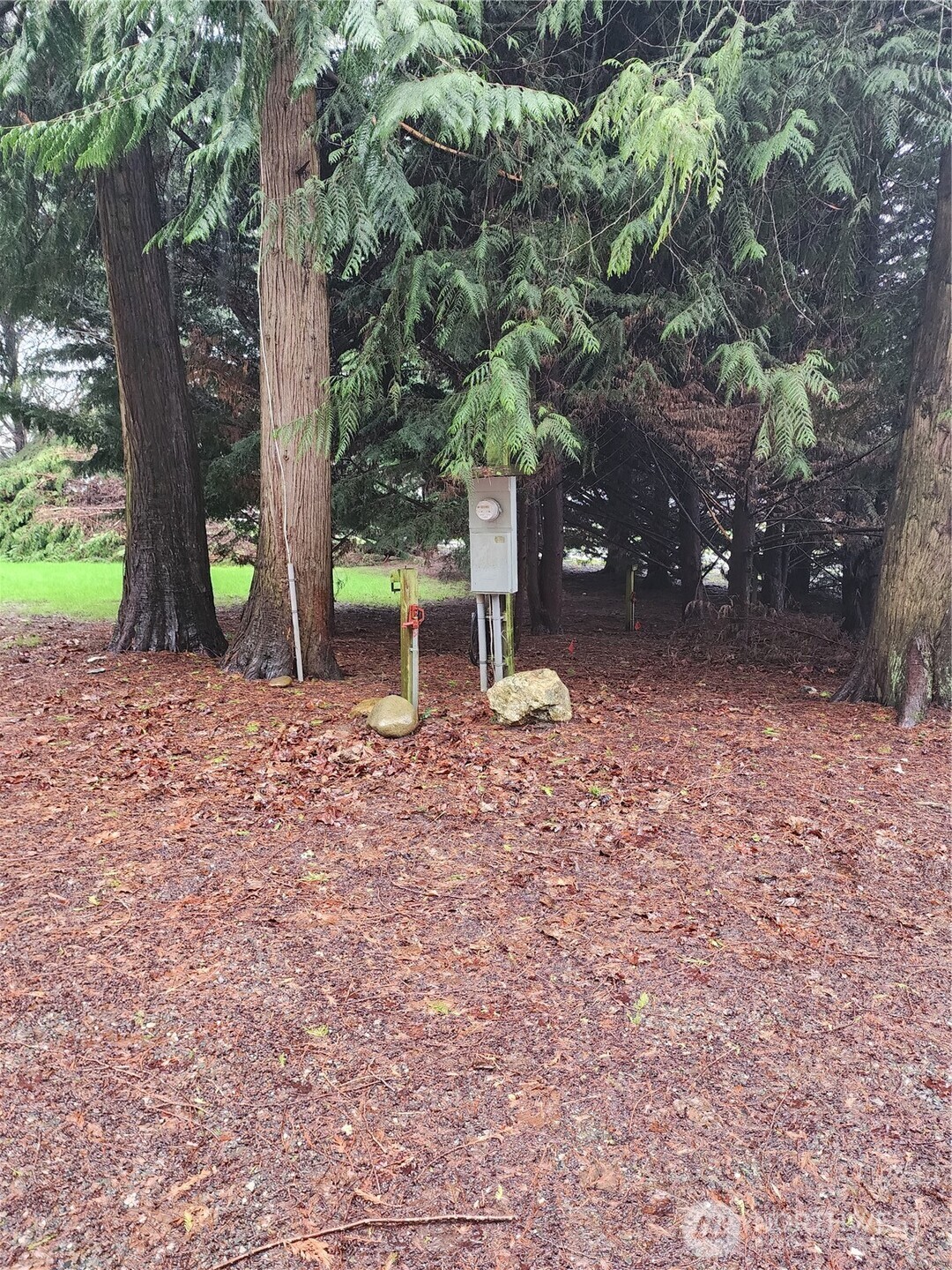 10115 226th Avenue Ct E