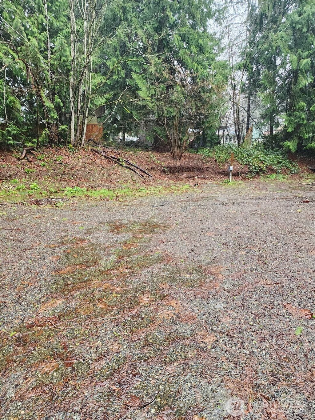 Photo of 10115 226th Avenue Ct E, Buckley, WA 98321 (MLS # 2497054)