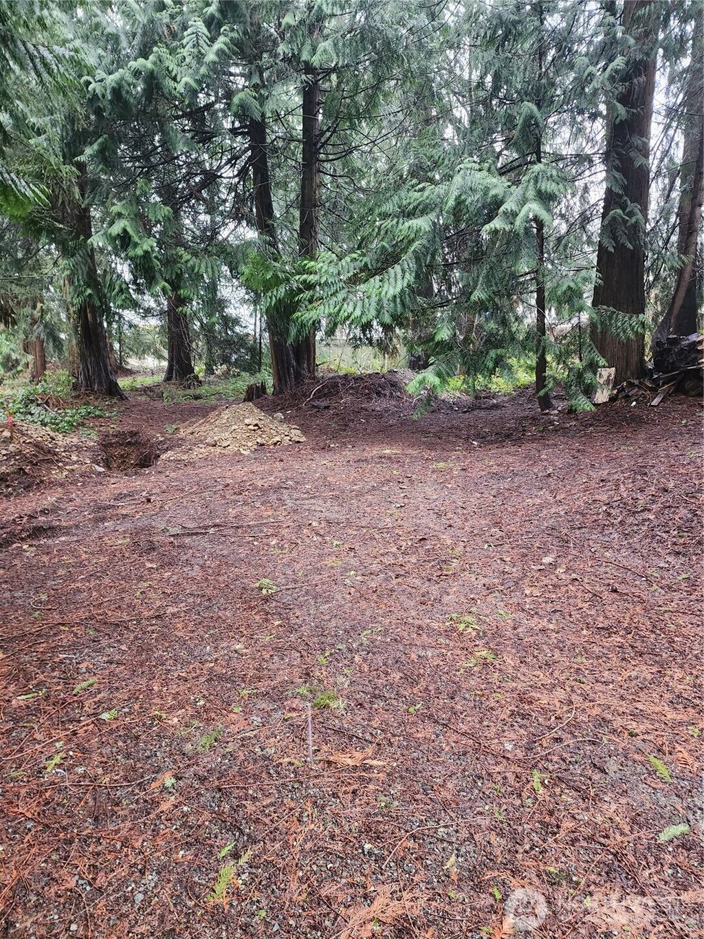 Photo of 10115 226th Avenue Ct E, Buckley, WA 98321 (MLS # 2497054)