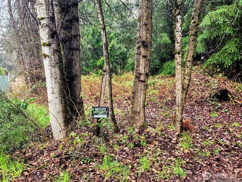 Photo of 10115 226th Avenue Ct E, Buckley, WA 98321 (MLS # 2497054)