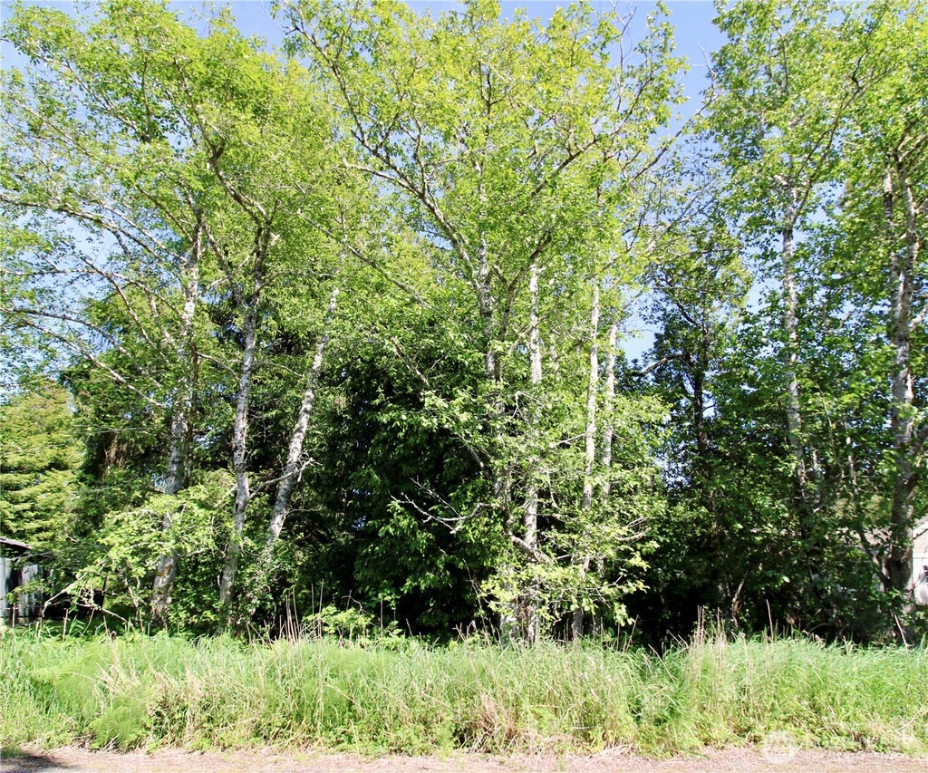 Photo of 32206 R Place, Ocean Park, WA 98640 (MLS # 2493789)