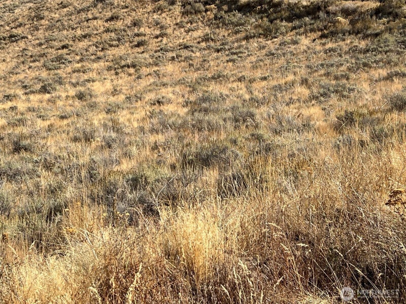 0 Mountain Spring Road