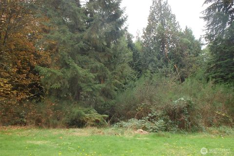 3912 183rd Avenue Ct SW Longbranch WA 98351