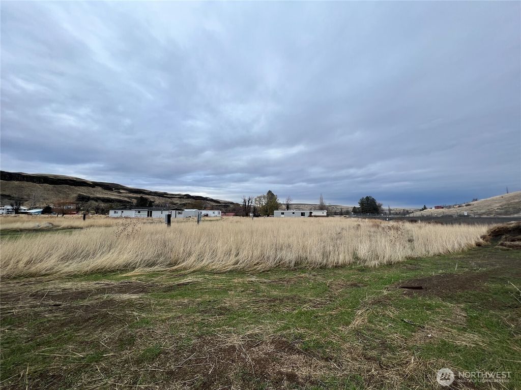 Photo of 0 S. Pike Street, Washtucna, WA 99371 (MLS # 2482568)