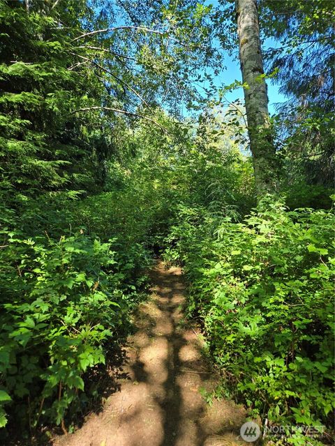 Photo of 181327 HWY 101, Forks, WA 98331 (MLS # 2410044) Photo of 181327 HWY 101, Forks, WA 98331 (MLS # 2410044)