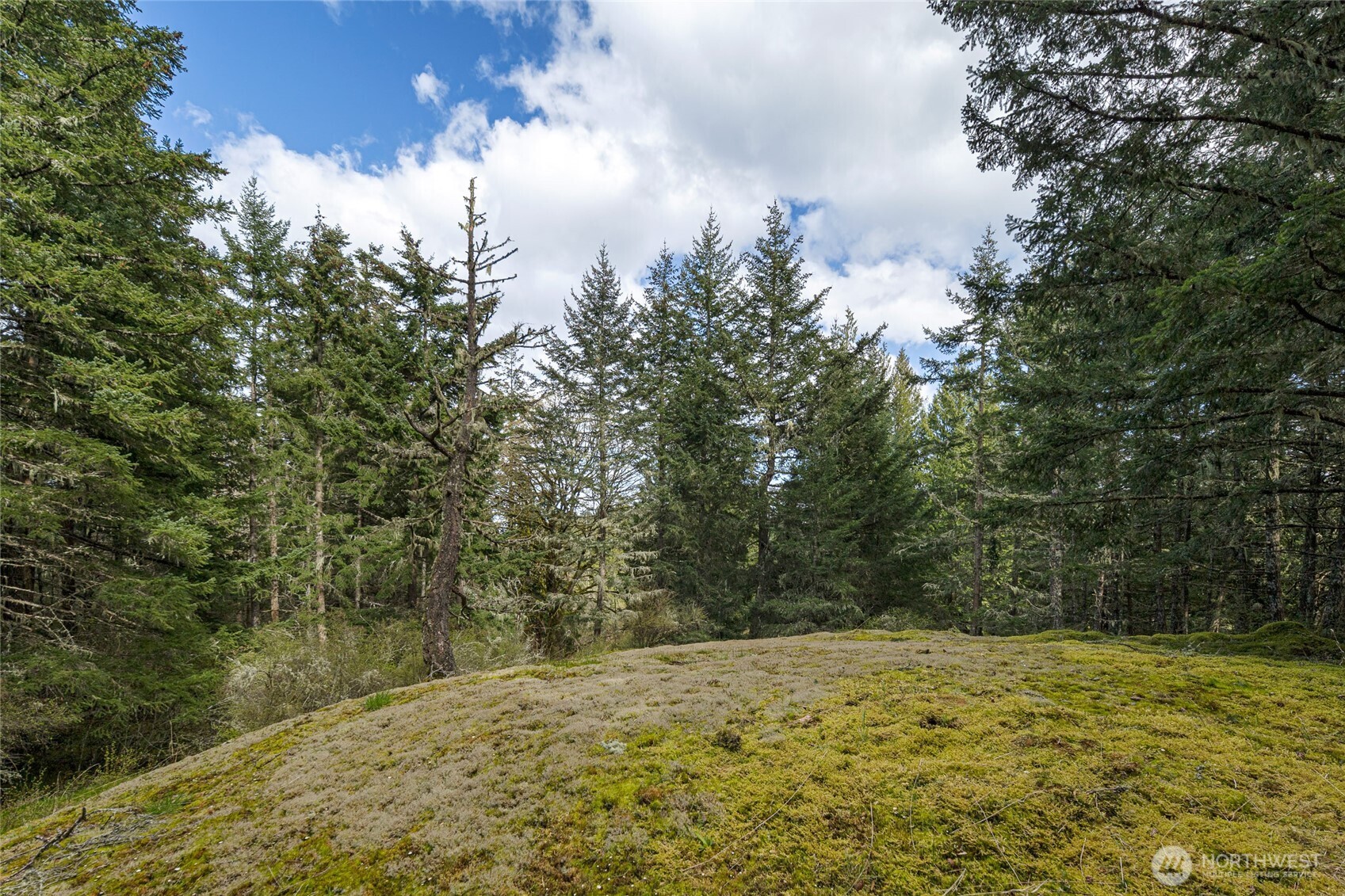 1087 Cady Mountain Road