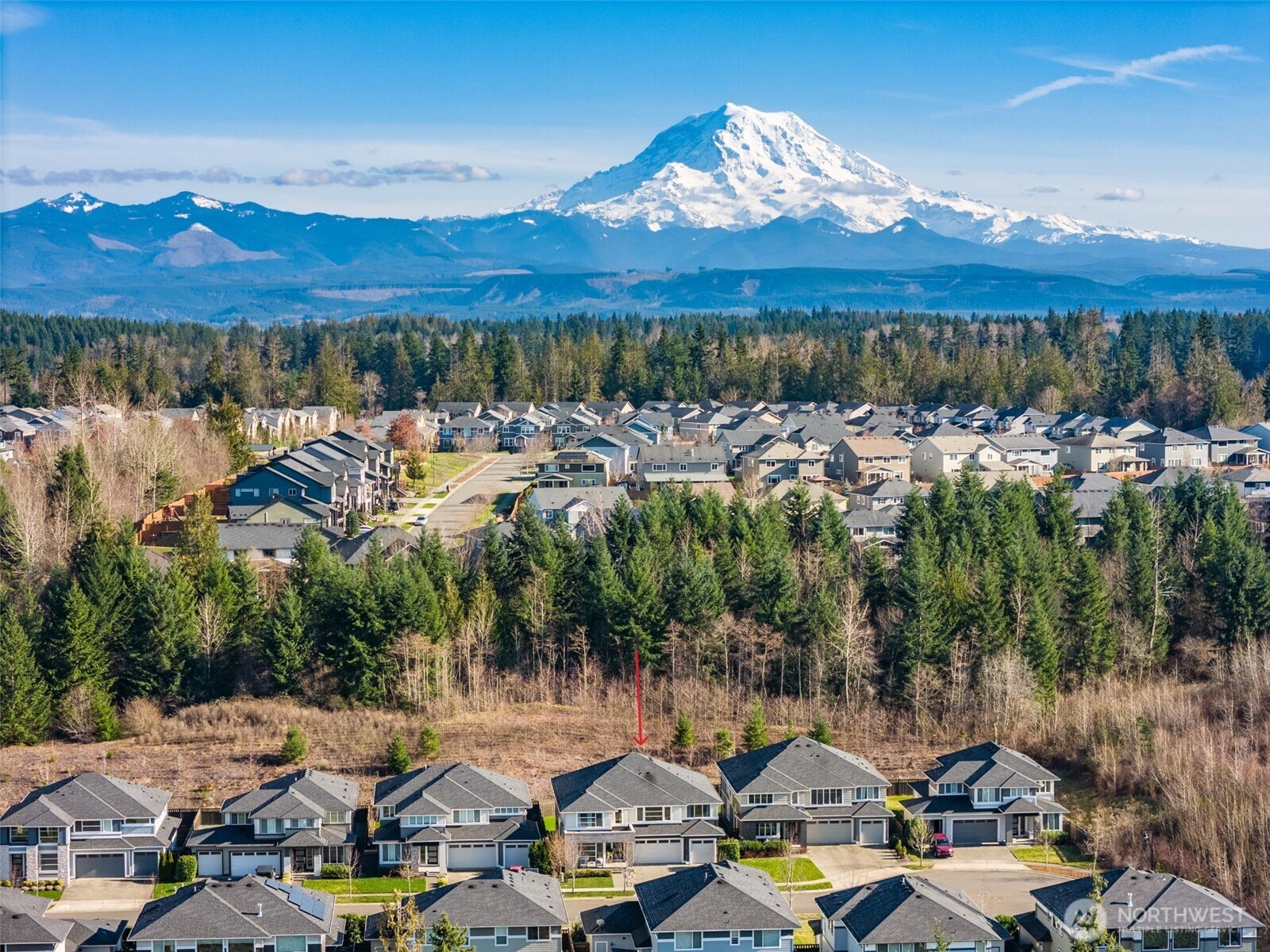 13241 181st Avenue Ct E