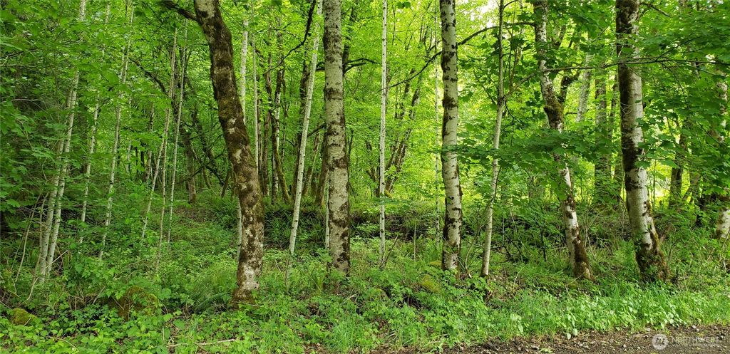 Photo of 32 XXX SE 341st Street, Enumclaw, WA 98051 (MLS # 2476510)