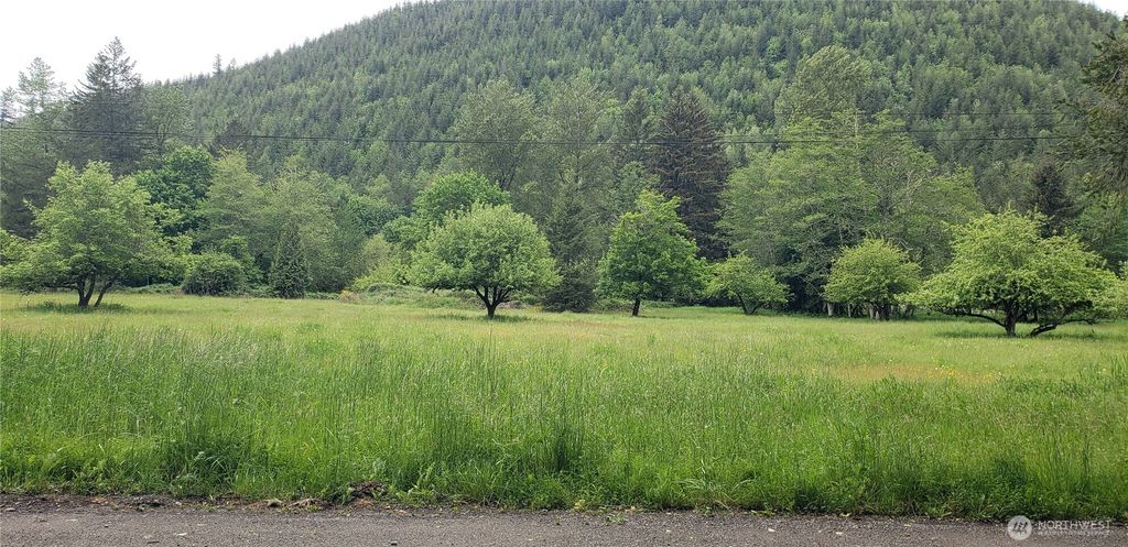 Photo of 32 XXX SE 341st Street, Enumclaw, WA 98051 (MLS # 2476510)