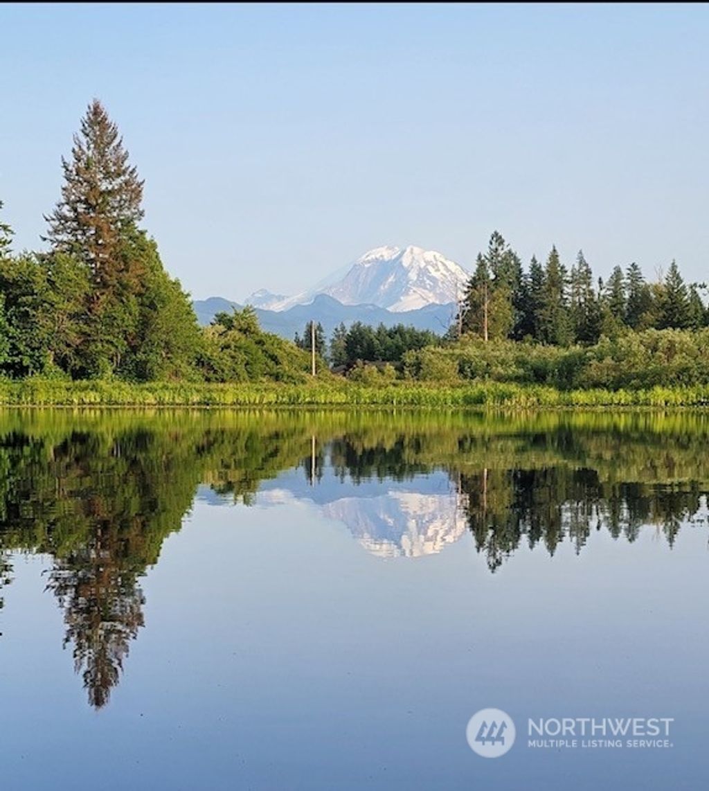 Photo of 25270 SE 380th Street, Enumclaw, WA 98022 (MLS # 2297400)