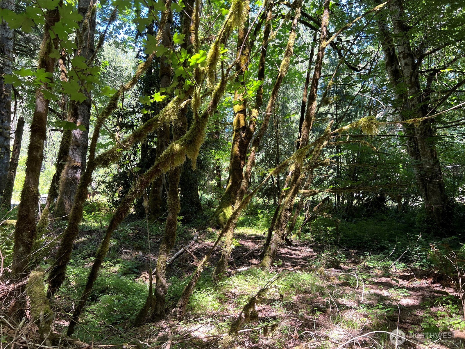0 Mountain Trail