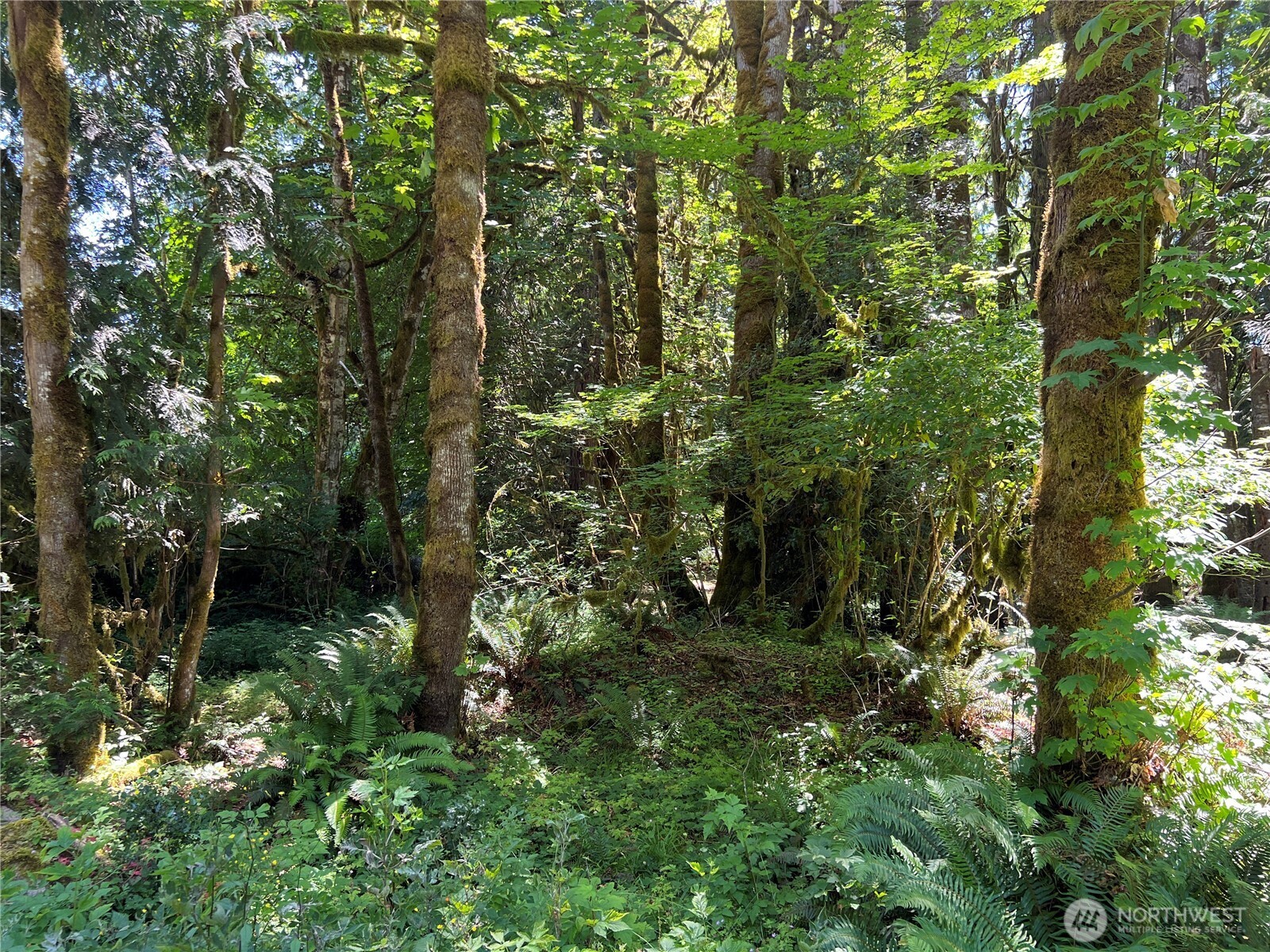 0 Mountain Trail