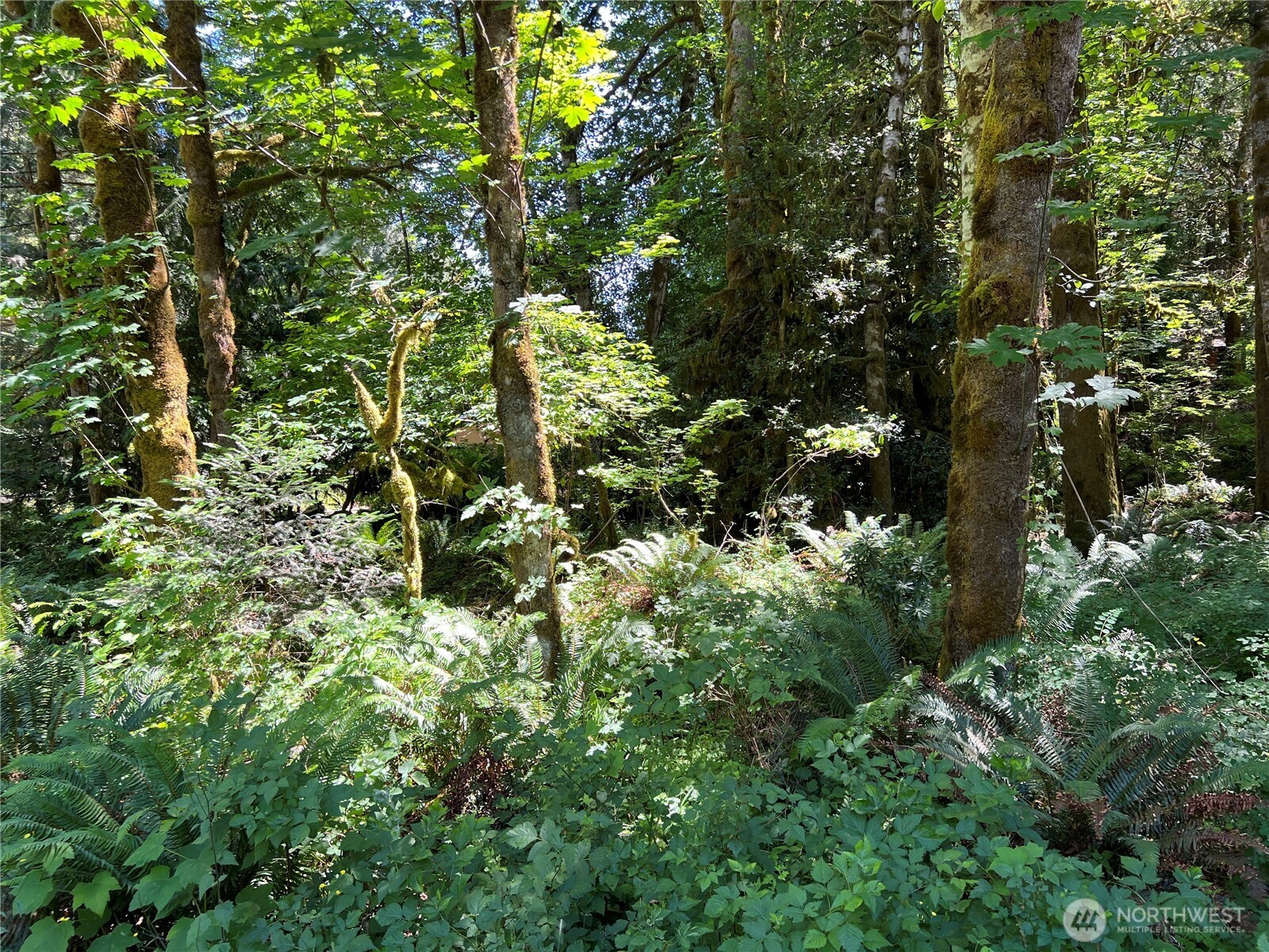 0 Mountain Trail