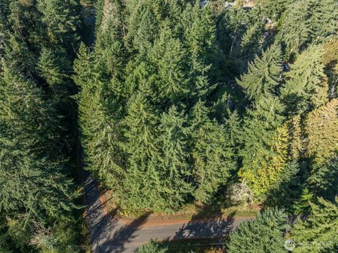 Photo of 10102 104th Avenue, Anderson Island, WA 98303 (MLS # 2446743)
