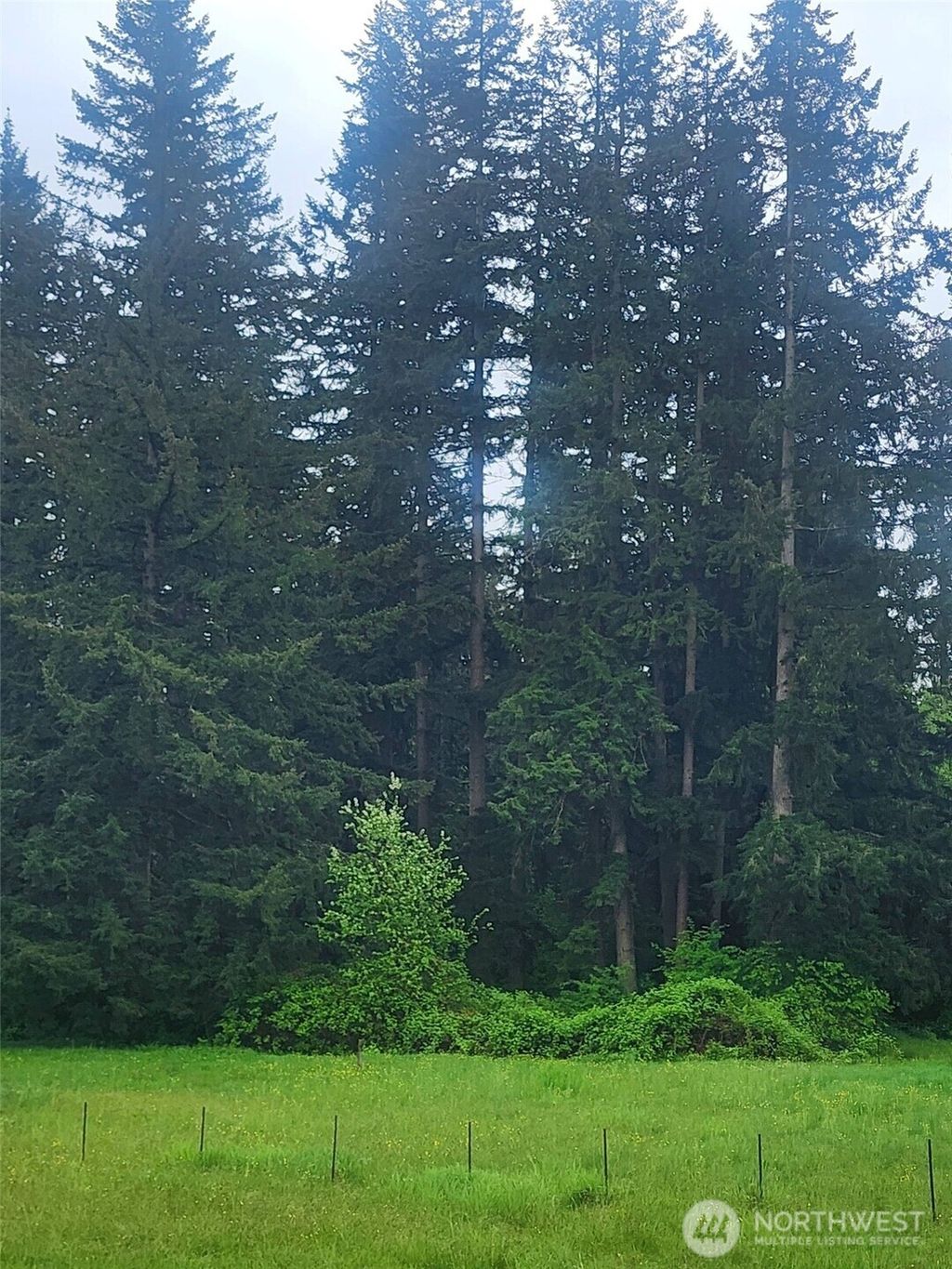 Photo of 128 XX HWY 92, Lake Stevens, WA 98258 (MLS # 2528108)