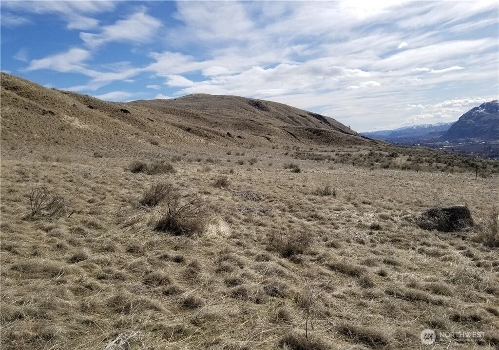 Photo of 0 Nicholson Road, Tonasket, WA 98855 (MLS # 2528467)