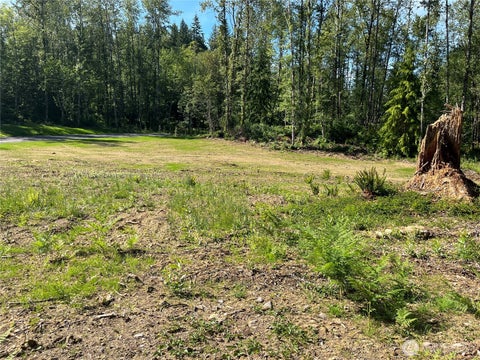 Photo of 4613 182nd Drive NE, Snohomish, WA 98290 (MLS # 2536405)