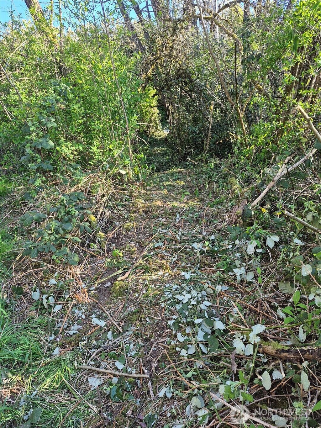 Photo of 28 Lot NE Sipes Lane, Bremerton, WA 98311 (MLS # 2511110)