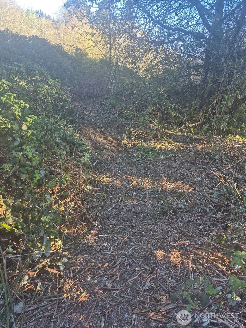 Photo of 28 Lot NE Sipes Lane, Bremerton, WA 98311 (MLS # 2511110)