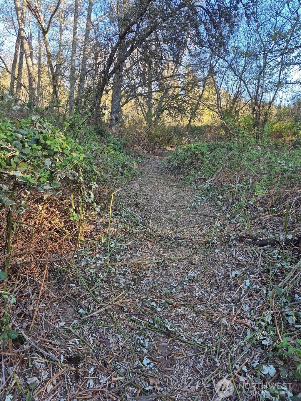 Photo of 28 Lot NE Sipes Lane, Bremerton, WA 98311 (MLS # 2511110)