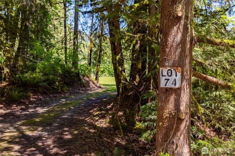 Photo of 0 Lot 74 Skagit View Drive, Concrete, WA 98237 (MLS # 2526854)