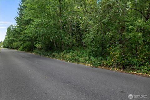 Photo of 823 Tipsoo Loop S, Rainier, WA 98576 (MLS # 2423609)