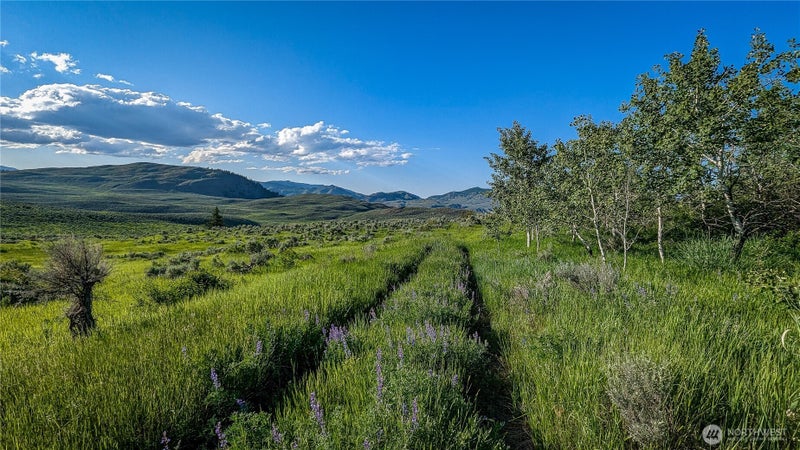 0 Ellemeham Mountain Road
